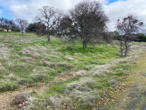 0 3823 Arrowhead St, Copperopolis, CA 95228 photo 3