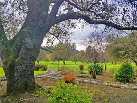1532 Golf Way, Placerville, CA 95667 photo 8