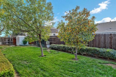 207 Jensen Rd, Gustine, CA 95322 photo 37