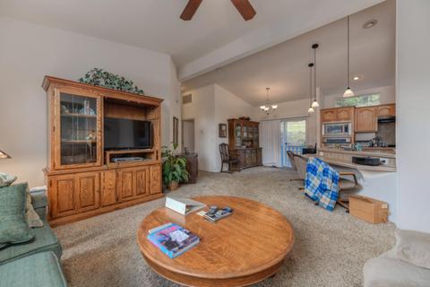 21649 Shake Ridge Rd, Volcano, CA 95689 photo 67