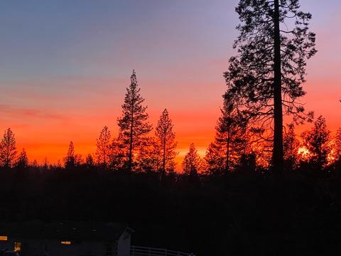 21649 Shake Ridge Rd, Volcano, CA 95689 photo 4