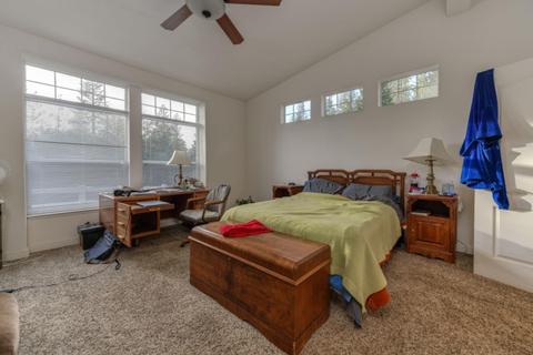 21649 Shake Ridge Rd, Volcano, CA 95689 photo 60
