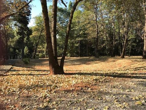 19611 Eagle Ridge Rd, Foresthill, CA 95631 photo 39