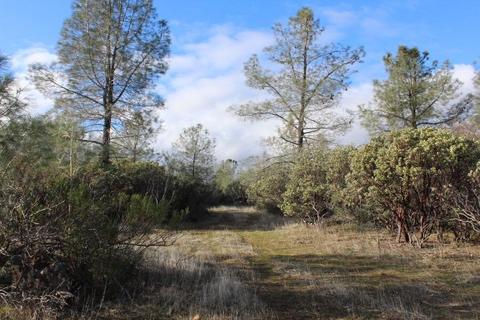 Undisclosed, Grass Valley, CA 95949 photo 19