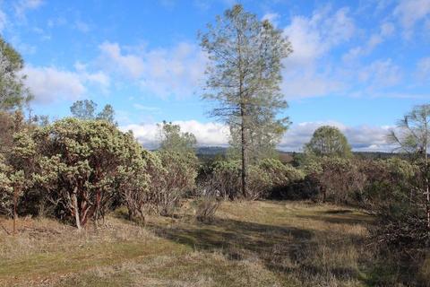Undisclosed, Grass Valley, CA 95949 photo 13