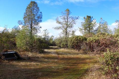 Undisclosed, Grass Valley, CA 95949 photo 18