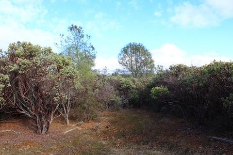 Undisclosed, Grass Valley, CA 95949 photo 16
