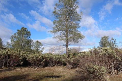 Undisclosed, Grass Valley, CA 95949 photo 11