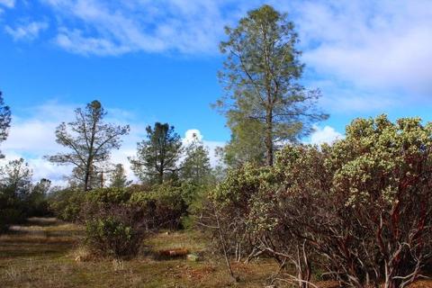 Undisclosed, Grass Valley, CA 95949 photo 17