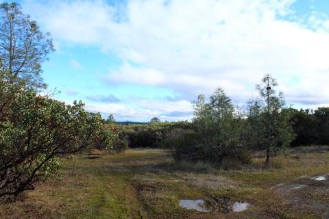 Undisclosed, Grass Valley, CA 95949 photo 6