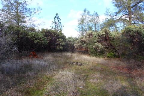 Undisclosed, Grass Valley, CA 95949 photo 3