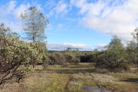 Undisclosed, Grass Valley, CA 95949 photo 15