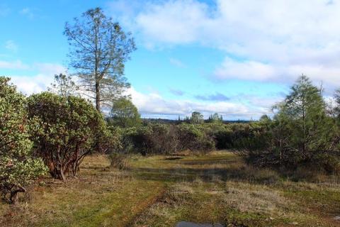 Undisclosed, Grass Valley, CA 95949 photo 7