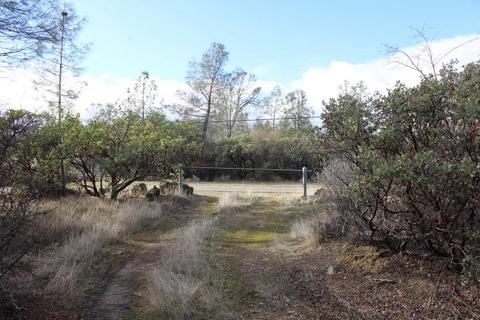 Undisclosed, Grass Valley, CA 95949 photo 20
