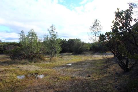 Undisclosed, Grass Valley, CA 95949 photo 5