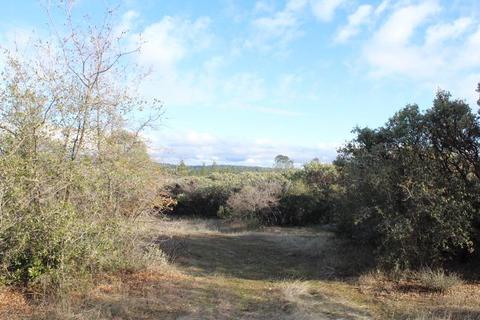 Undisclosed, Grass Valley, CA 95949 photo 14