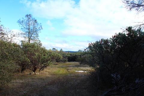 Undisclosed, Grass Valley, CA 95949 photo 4