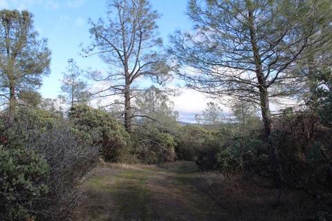 Undisclosed, Grass Valley, CA 95949 photo 2