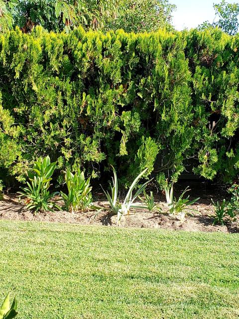 6644 Eden Ave, Winton, CA 95388 photo 26