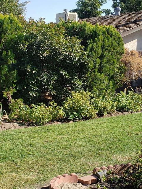6644 Eden Ave, Winton, CA 95388 photo 24