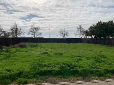 16133 Sheltered Cv, Lathrop, CA 95330 photo 7