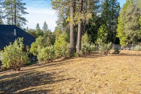 13932 Logans Aly, Pine Grove, CA 95665 photo 29