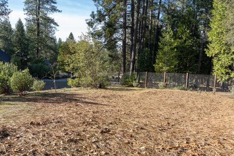 13932 Logans Aly, Pine Grove, CA 95665 photo 30