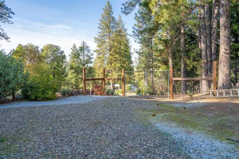 13932 Logans Aly, Pine Grove, CA 95665 photo 31