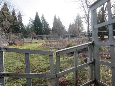 4520 Chapparal Dr, Placerville, CA 95667 photo 28