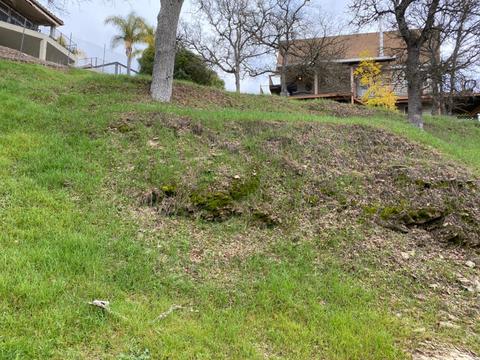 282 Thompson Ln, Copperopolis, CA 95228 photo 2