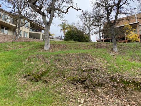 282 Thompson Ln, Copperopolis, CA 95228 photo 1