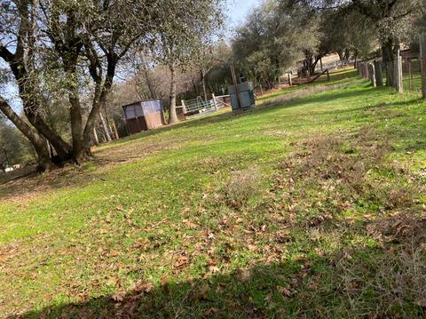 8840 Mosquito Rd, Placerville, CA 95667 photo 13