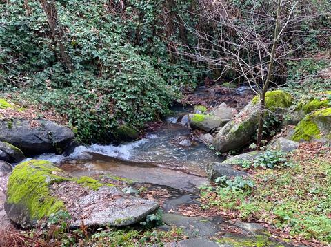8840 Mosquito Rd, Placerville, CA 95667 photo 43