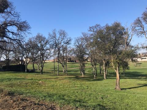 1213 Knolls, Copperopolis, CA 95228 photo 6