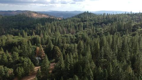 2650 Upper Dorray Rd, Glencoe, CA 95232 photo 36