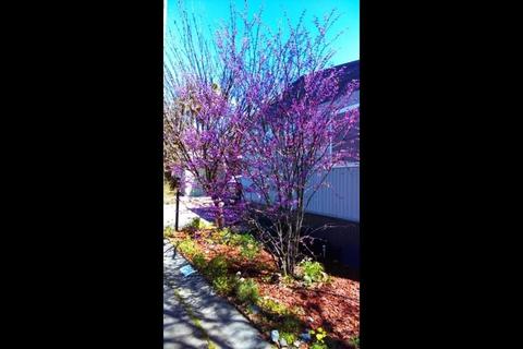 133 Full Cir, Davis, CA 95618 photo 31
