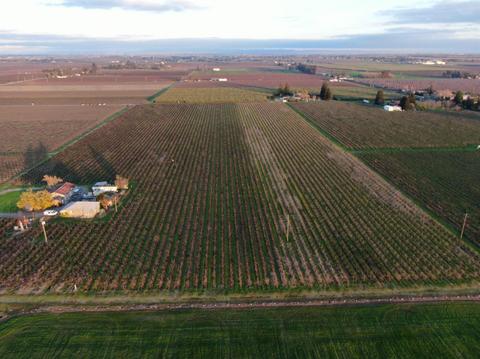 13090 N Alpine Rd, Lodi, CA 95240 photo 1