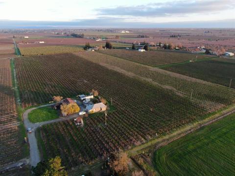 13090 N Alpine Rd, Lodi, CA 95240 photo 5