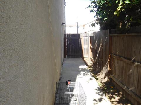 1438 Berrendas, Patterson, CA 95363 photo 27