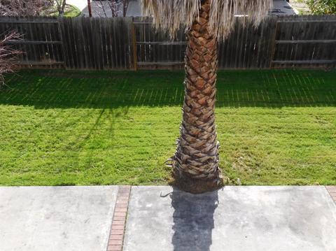 1438 Berrendas, Patterson, CA 95363 photo 23