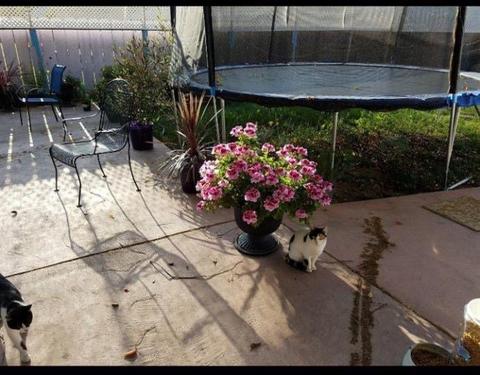 1801 Carver Rd, Modesto, CA 95350 photo 38