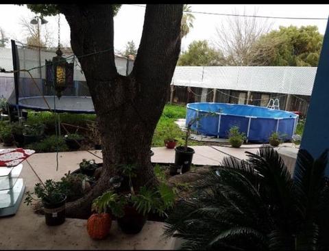 1801 Carver Rd, Modesto, CA 95350 photo 39