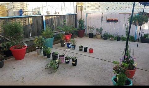 1801 Carver Rd, Modesto, CA 95350 photo 41