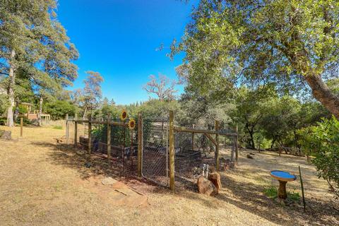 13681 Haas Ct, Rough And Ready, CA 95975 photo 49