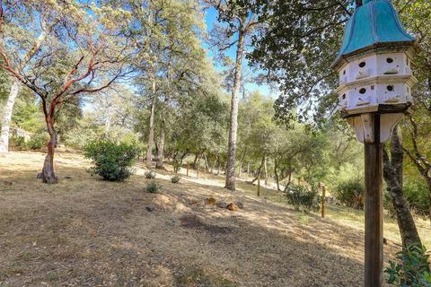13681 Haas Ct, Rough And Ready, CA 95975 photo 53