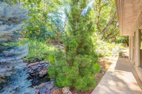 13681 Haas Ct, Rough And Ready, CA 95975 photo 45