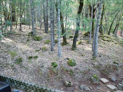 1740 Tecolote Dr, Placerville, CA 95667 photo 33