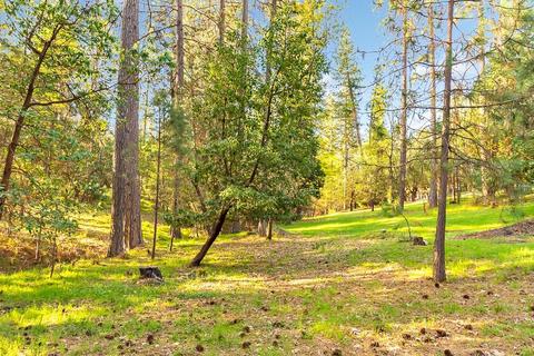 5716 Silverleaf Dr, Foresthill, CA 95631 photo 19