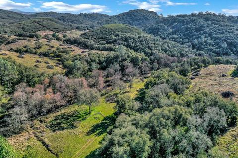 7600 Stony Creek Rd, Jackson, CA 95642 photo 20