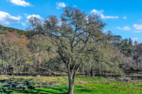 7600 Stony Creek Rd, Jackson, CA 95642 photo 29